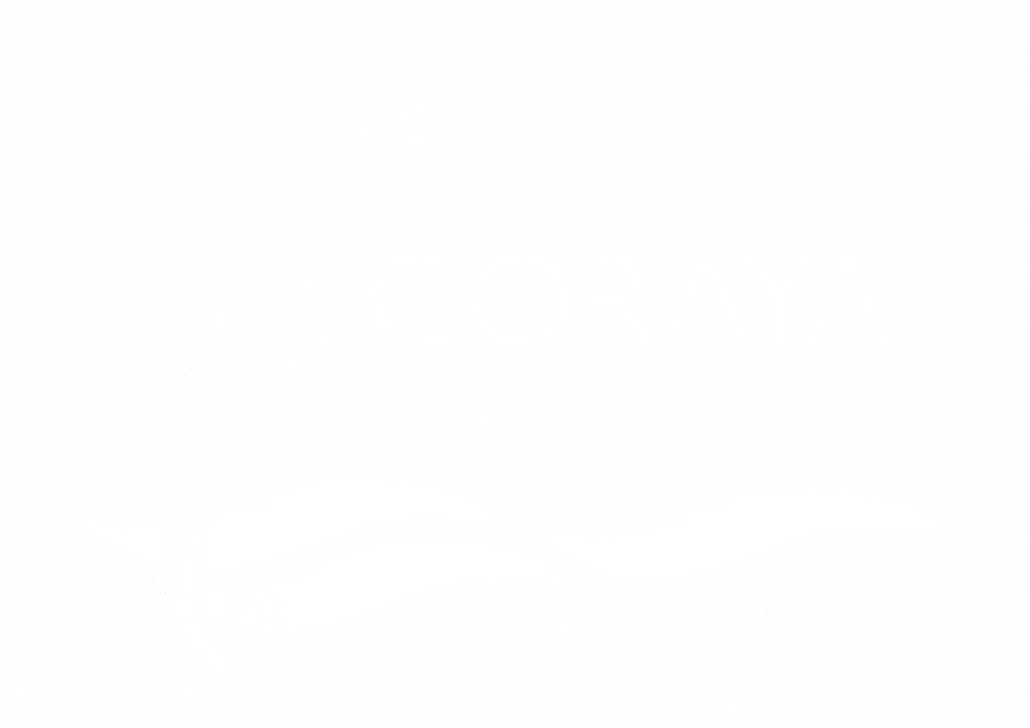 Logo Camiguin DIvers
